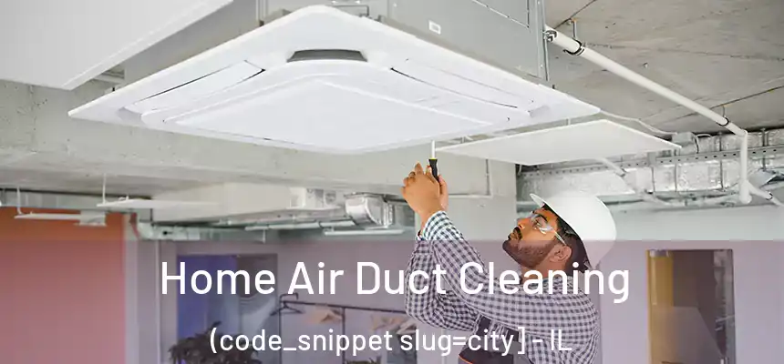  Home Air Duct Cleaning (code_snippet slug=city] - IL