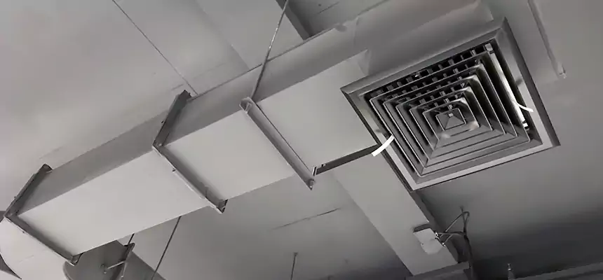 Restorative Allergy Relief Vent Cleaning – Coil, Blower & Housing Detail in Bradley