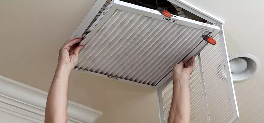 Our Insect Removal from Air Ducts Services in Bradley, IL