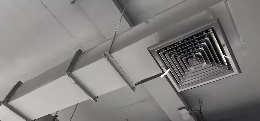 Our Rodent Droppings In Vents Services in Bradley, IL