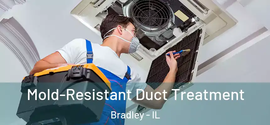  Mold-Resistant Duct Treatment Bradley - IL