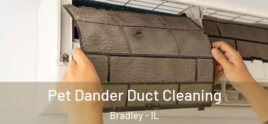 Pet Dander Duct Cleaning Bradley - IL