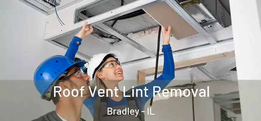  Roof Vent Lint Removal Bradley - IL