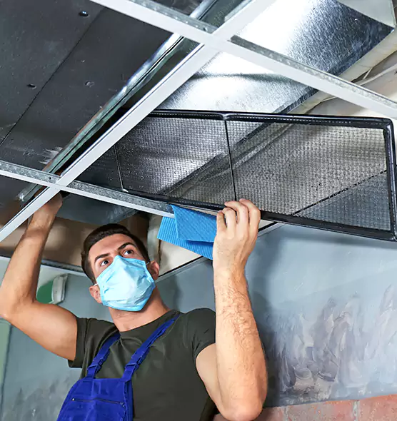 Professional Air Duct Pollen Cleaning in Bradley, IL