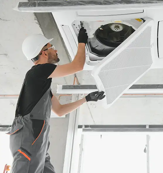 About Air Duct Rodent Removal in Bradley, IL