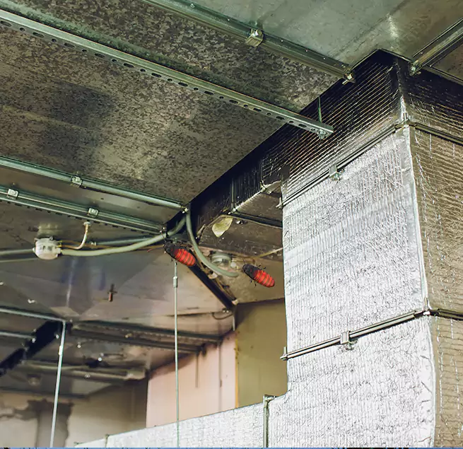 Why Homeowners & Businesses Trust Us in Bradley, IL?