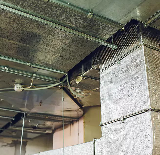 Why Homeowners & Businesses Trust Us in Bradley, IL?